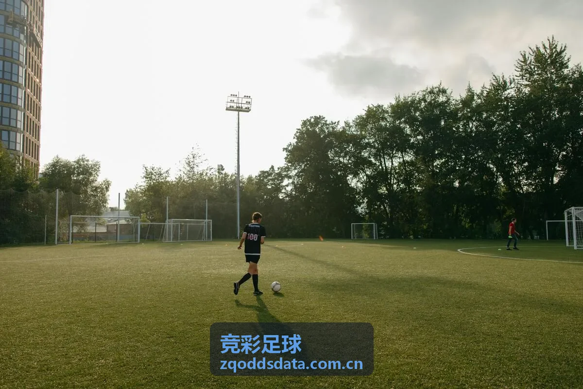 德甲联赛射手榜与进攻数据 - 竞彩足球